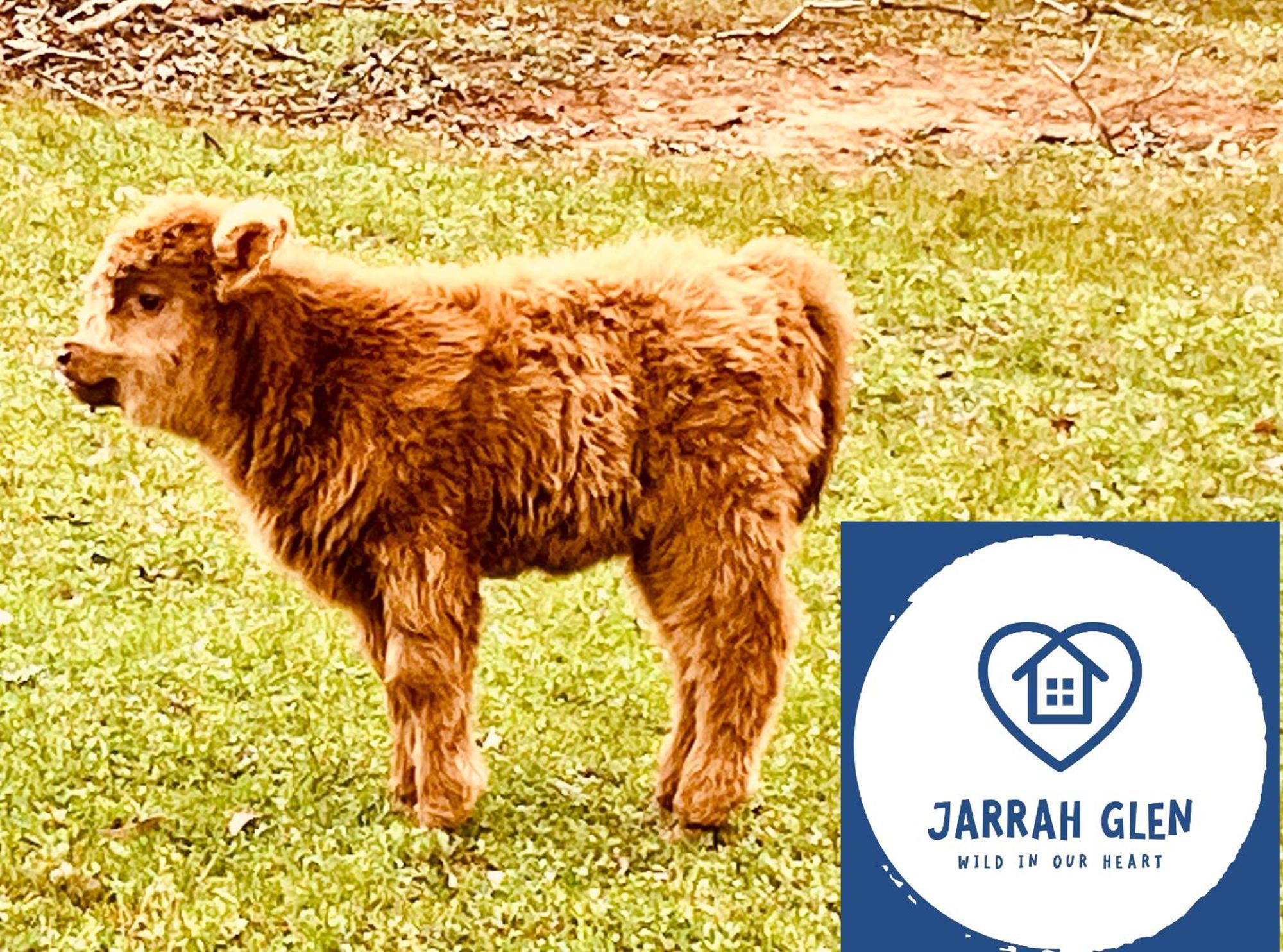 Jarrah Glen Cabins Nannup Exterior photo