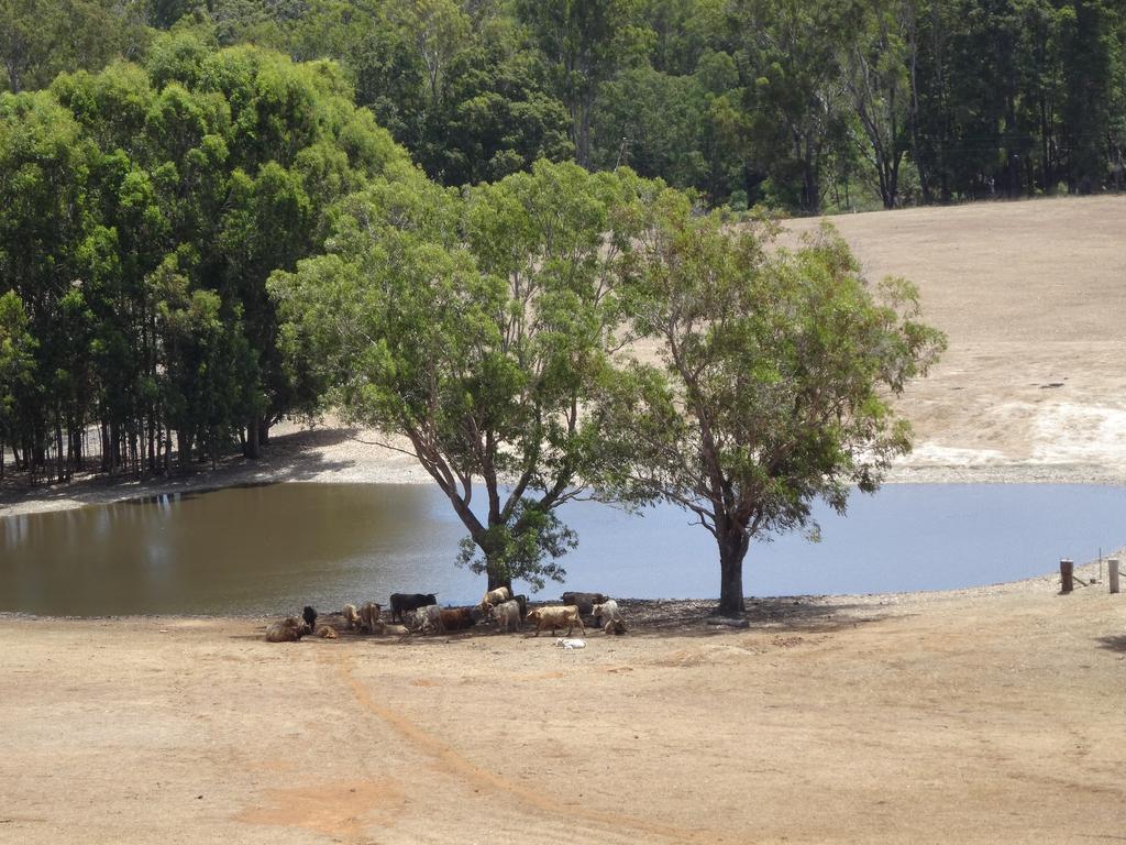 Jarrah Glen Cabins Nannup Exterior photo